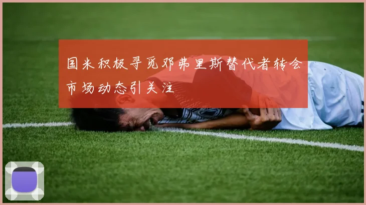 国米积极寻觅邓弗里斯替代者转会市场动态引关注
