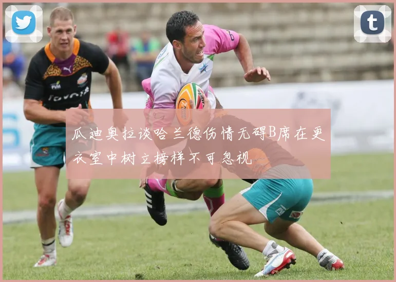 瓜迪奥拉谈哈兰德伤情无碍B席在更衣室中树立榜样不可忽视